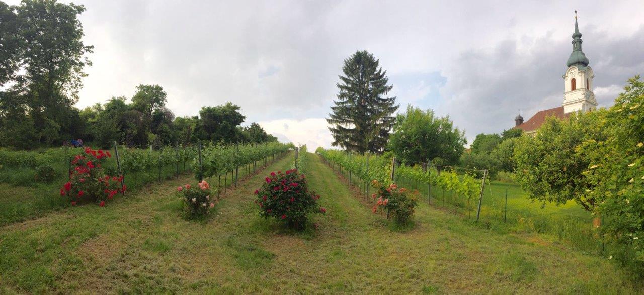 Ooops. It looks like an error has occured!